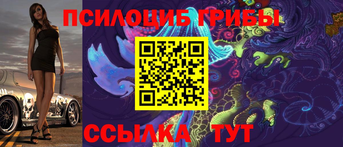Лесосибирск  Псилоцибиновые грибы Cubensis  Вход с VPN 